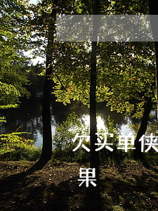欠买单侠不还是啥后果(买单侠不还有什么后果)