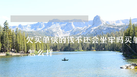 欠买单侠的钱不还会坐牢吗(买单侠没还款会怎么样)