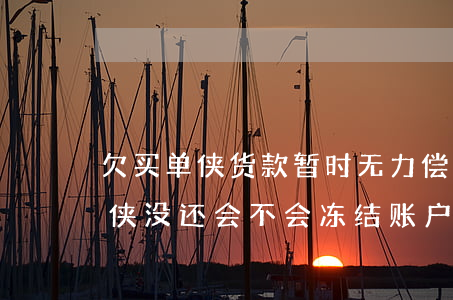 欠买单侠货款暂时无力偿还怎么办-欠买单侠没还,会不会冻结账户限制高消费