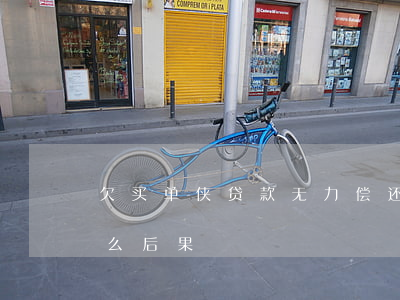 欠买单侠贷款无力偿还(买单侠借款不还有什么后果)