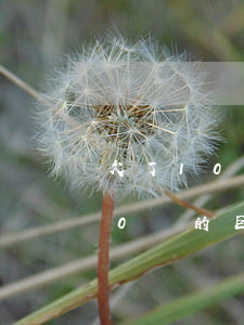 欠了1000萬的巨債怎么辦-欠了1000萬的巨債怎么辦呢