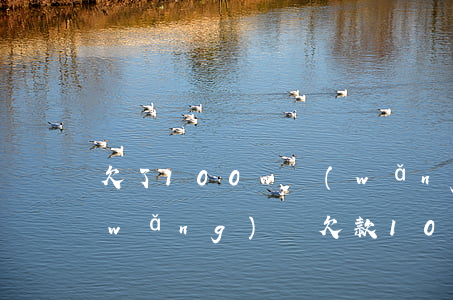 欠了100w網(wǎng)貸怎么辦(網(wǎng)貸欠款100萬)