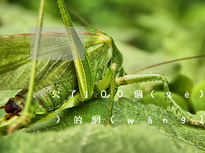 欠了100個(gè)714平臺(tái)的網(wǎng)貸(被714網(wǎng)貸起訴了)