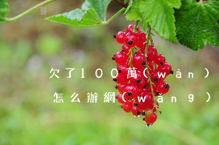欠了100萬(wàn)網(wǎng)貸怎么辦(網(wǎng)貸欠款100萬(wàn)還不上)