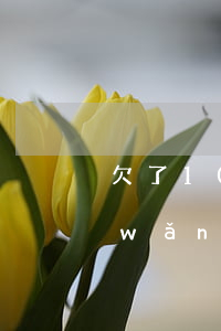 欠了100萬網(wǎng)貸怎么辦(網(wǎng)貸欠款100萬還不上)