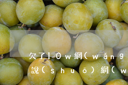 欠了10w網(wǎng)貸怎么跟家里人說(shuō)(網(wǎng)貸欠錢(qián)怎么和家里人說(shuō))