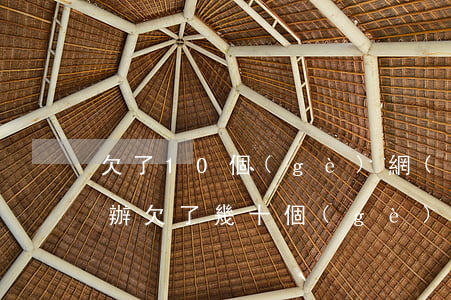 欠了10個(gè)網(wǎng)貸怎么辦(欠了幾十個(gè)網(wǎng)貸)