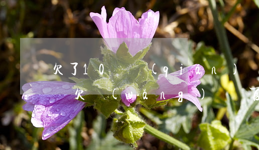欠了10塊錢(qián)網(wǎng)貸(欠網(wǎng)貸幾百塊)