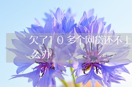 欠了10多个网贷还不上(十个网贷还不起怎么办)
