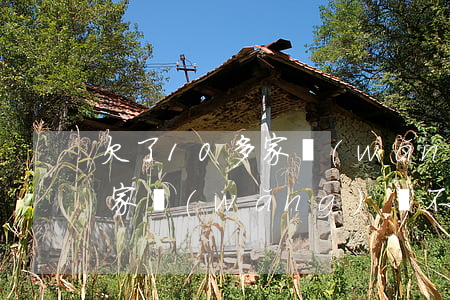 欠了10多家網(wǎng)貸還不起(欠多家網(wǎng)貸不還的下場)