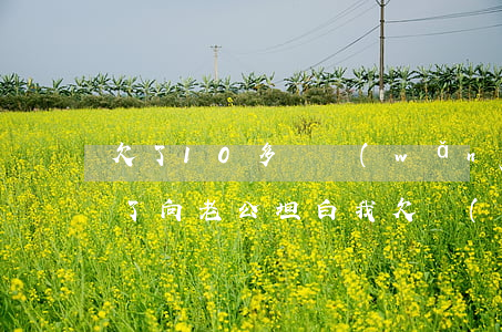 欠了10多萬網(wǎng)貸跟老公坦白了(向老公坦白我欠網(wǎng)貸二十多萬)