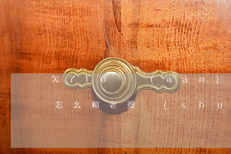 欠了10幾萬(wàn)網(wǎng)貸怎么和老婆說(shuō)-欠了10幾萬(wàn)網(wǎng)貸怎么和老婆說(shuō)呢