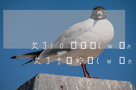 欠了10幾萬網(wǎng)貸我該怎么辦(欠了十萬的網(wǎng)貸怎么辦)