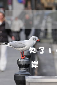 欠了10萬如何上岸-欠了10萬元怎么上岸