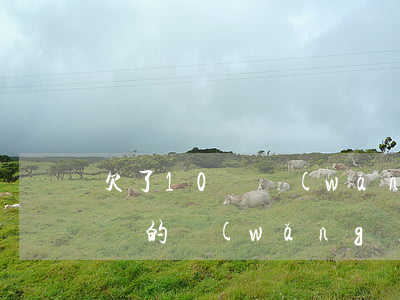 欠了10萬網(wǎng)貸工作(欠了10萬的網(wǎng)貸怎么辦)