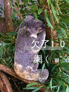 欠了10萬網(wǎng)貸焦慮(欠10萬網(wǎng)貸走投無路)