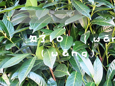 欠了10萬網(wǎng)貸能貸款買房嗎(網(wǎng)貸負債10萬能貸款買房嗎)