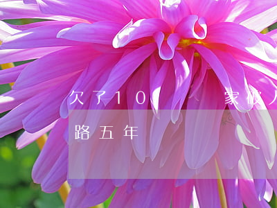 欠了10萬網貸家破人亡(網貸欠了10萬跑路五年)