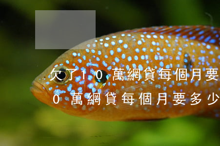 欠了10萬網貸每個月要多少利息-欠了10萬網貸每個月要多少利息呢