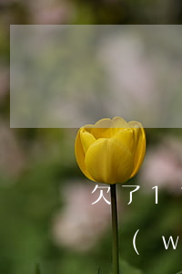 欠了11萬的網(wǎng)貸(欠了10萬網(wǎng)貸)
