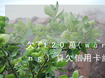 欠了120萬(wàn)信用卡和網(wǎng)貸(欠信用卡網(wǎng)貸100多萬(wàn)怎么辦)