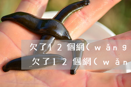 欠了12個網(wǎng)貸還不上怎么辦(欠了12個網(wǎng)貸還不上怎么辦)