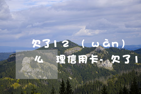 欠了12萬(wàn)網(wǎng)貸怎么辦理信用卡-欠了12萬(wàn)網(wǎng)貸怎么辦理信用卡呢
