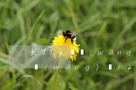 欠了12萬網(wǎng)貸不敢和家里說(網(wǎng)貸12萬怎么和家里說)
