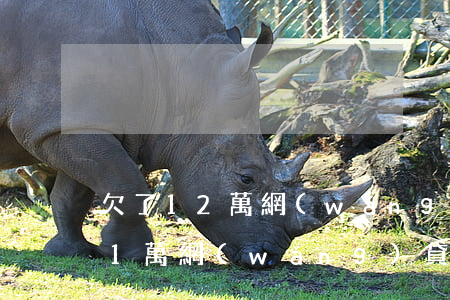 欠了12萬網(wǎng)貸怎么辦(欠了11萬網(wǎng)貸)