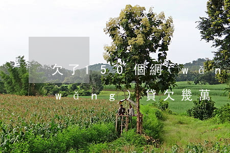 欠了150個網(wǎng)貸怎么還(網(wǎng)貸欠幾萬)