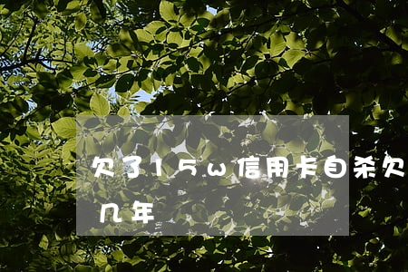 欠了15w信用卡自杀(欠信用卡15万判刑几年)