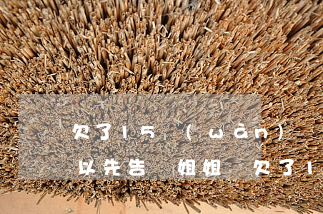 欠了15萬(wàn)網(wǎng)貸可以先告訴姐姐嗎(欠了15萬(wàn)網(wǎng)貸不敢和家里說(shuō))