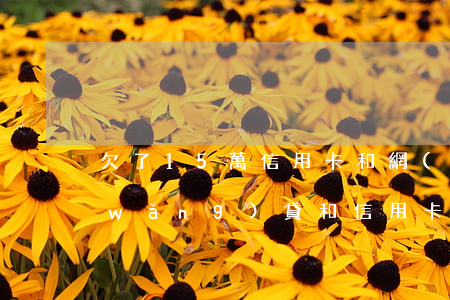 欠了15萬信用卡和網(wǎng)貸(網(wǎng)貸和信用卡欠了十幾萬,應(yīng)該怎么辦?)