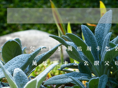 欠了15萬信用卡怎么跟父母說-欠了15萬信用卡怎么跟父母說呢