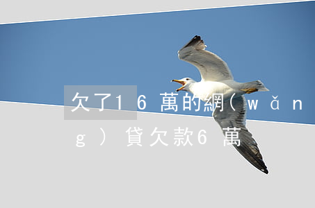 欠了16萬的網(wǎng)貸(網(wǎng)貸欠款6萬)