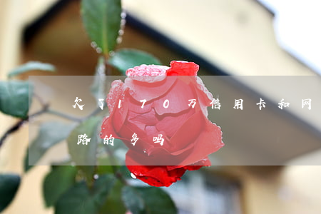 欠了170万信用卡和网贷跑路(欠信用卡跑路的多吗)