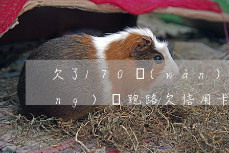欠了170萬(wàn)信用卡和網(wǎng)貸跑路(欠信用卡跑路的多嗎)