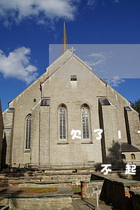 欠了170萬(wàn)信用卡自首（信用卡還不起去自首）