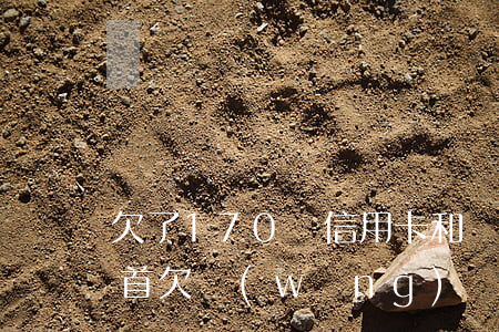 欠了170萬信用卡和網(wǎng)貸自首(欠網(wǎng)貸信用卡14萬想死)