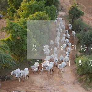 欠了18万信用卡加网贷怎么办(欠信用卡和网贷三十多万还不上怎么办)