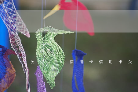 欠了19信用卡(信用卡欠款判幾年)