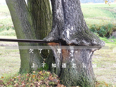 欠了1萬(wàn)網(wǎng)貸還不上不知道怎么辦-欠了一萬(wàn)網(wǎng)貸還不上不知道怎么辦