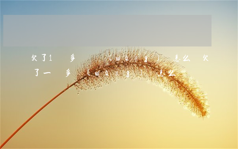 欠了1萬多塊錢網(wǎng)貸怎么辦(欠了一萬多網(wǎng)貸怎么辦)