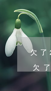 欠了20000的網(wǎng)貸怎么辦(欠了15000網(wǎng)貸怎么辦)