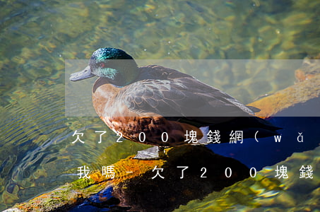欠了200塊錢網(wǎng)貸可以起訴我嗎-欠了200塊錢網(wǎng)貸可以起訴我嗎知乎