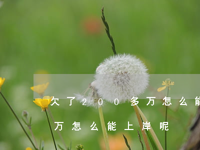 欠了200多万怎么能上岸-欠了200多万怎么能上岸呢