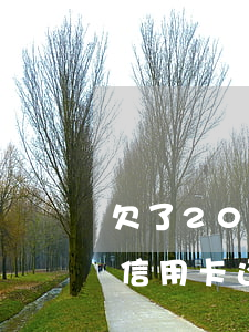 欠了20万信用卡还不上怎么办(欠了二十万信用卡还不起怎么办)