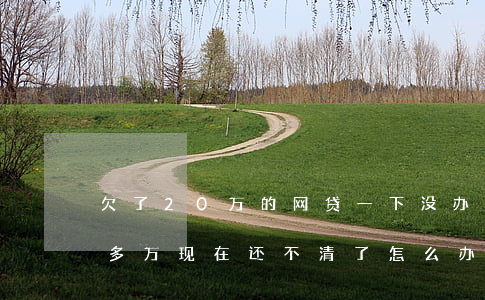 欠了20万的网贷一下没办法还(欠网贷20多万,现在还不清了怎么办)