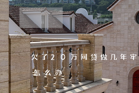欠了20万网贷做几年牢(网贷欠了20多万怎么办)
