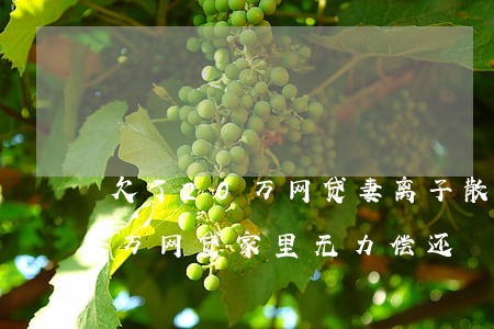欠了20万网贷妻离子散40岁-欠了20万网贷家里无力偿还